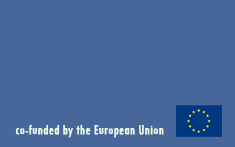 European Commision Information Society